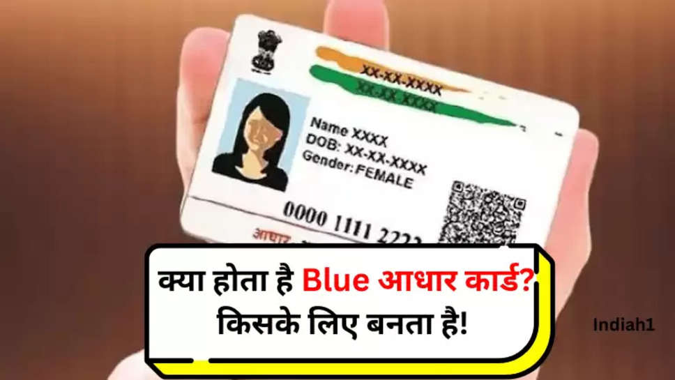 Blue Aadhar Card 