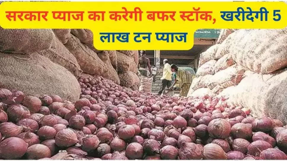 NAFED, Onion Price, Onion, Onion Prices, NCCF, Kharif onion, Buffer Stock, NCCF and NAFED to initiate procurement of 5 lakh tonnes of onion, farmers, agricuture, farmers news, kisan samachar, kisan news, Kendriya Bhandar, Minimum Export Price, MEP, agriculture india, agriculture news in hindi, zee business hindi, प्याज,Onion prices, Agriculture, Farmers , onion price hike , onion buffer stock , हिंदी न्यूज़ ,onion buffer stock news , 