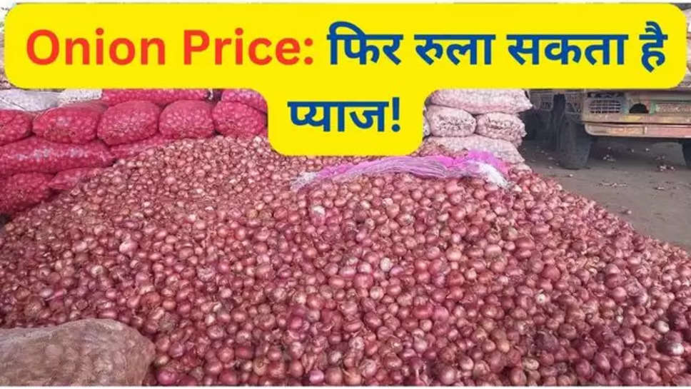 onion, onion production, tomato, potato, onion price, onion price news, hindi news, onion price hike, onion price hike news, pyaj ki keemat, pyaj ka bhav ,