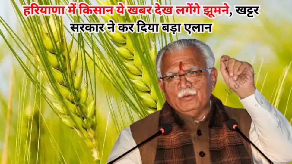 haryana farmer news