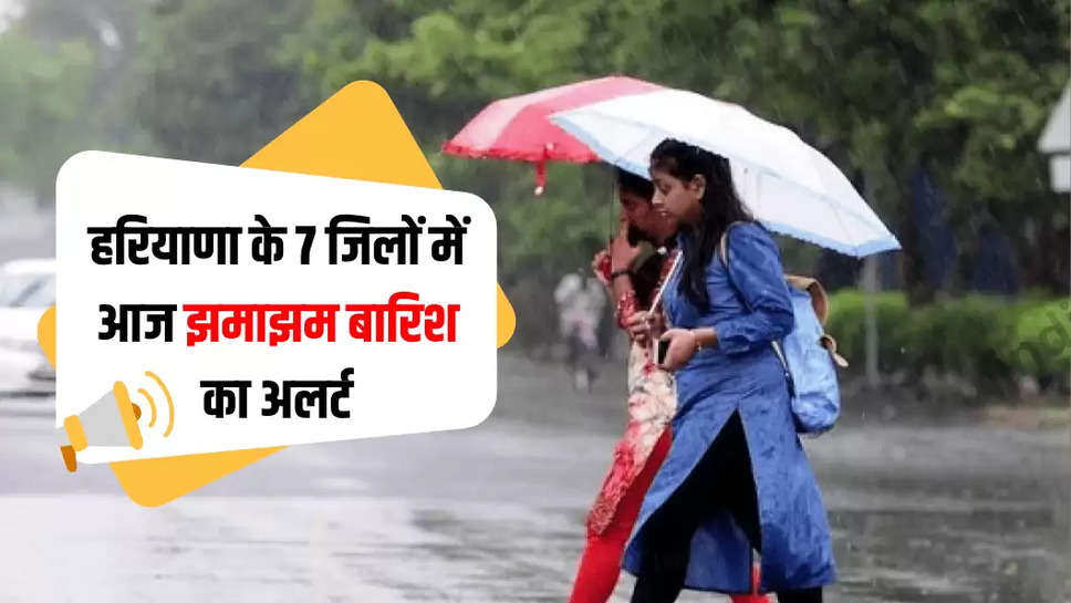 haryana weather alert 