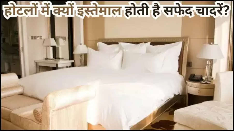 hotels ,bed sheets ,white ,white bed sheets ,rooms ,towels ,White Sheets in Hotels,why rooms have white bed sheets, why hotels use white bedsheets in rooms, why hotel rooms use white bed sheets, why all rooms have white bed sheets,Why are hotel bedhseets white,why hotel use white bed sheets,hotels white bed sheet reason,hotel me white bed sheets ka reason,why hotels have white bed sheets,hotel me white bed sheets kyon hoti hai,Why do hotels use white bedsheets,white bedsheets in train,होटल में सफेद चादर का इस्तेमाल,होटल में सफेद चादर और तौलिया, हिंदी न्यूज़,