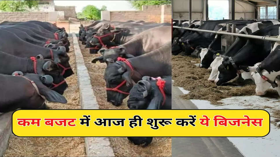 कम बजट में आज ही शुरू करें ये बिजनेस