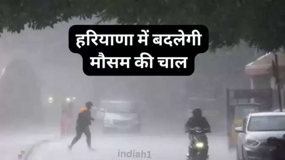 Haryana Weather Update