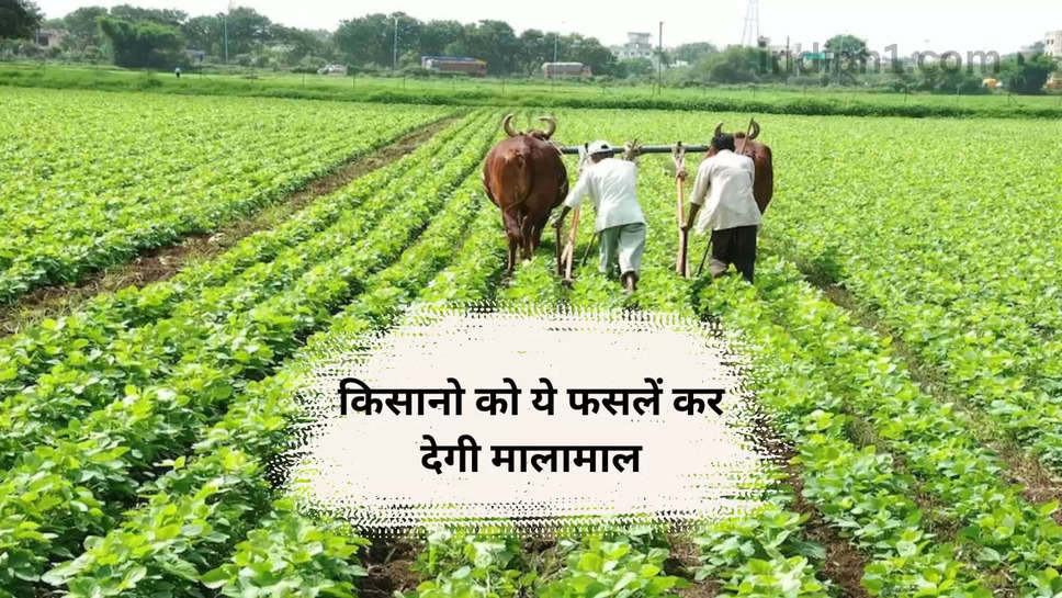 farmer news