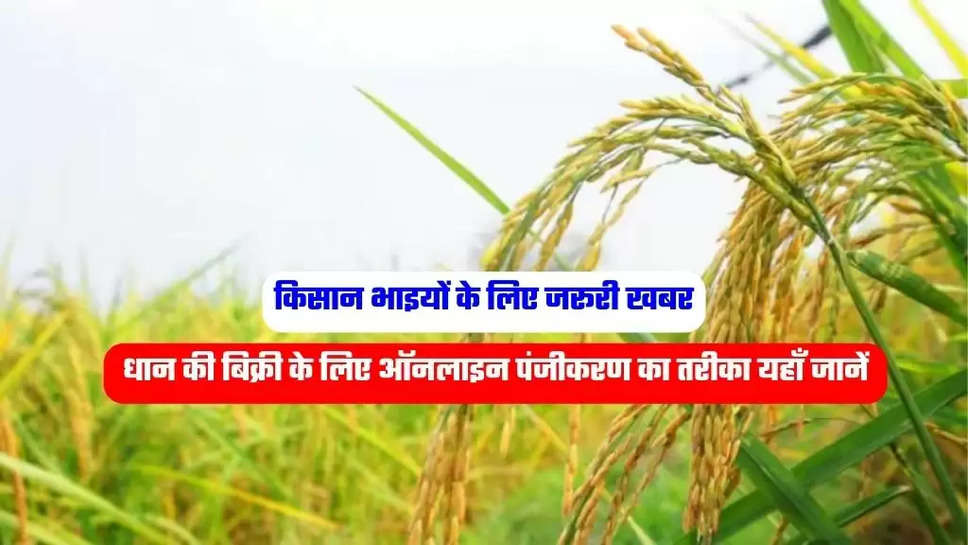 Kisan News