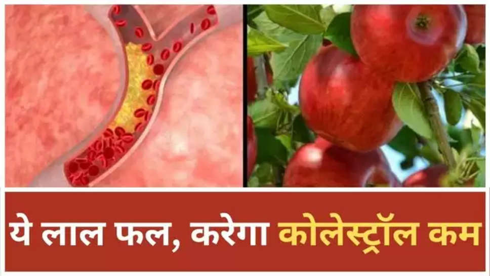 Apple a Day , High Cholesterol Levels , Apple for Cholesterol, Red Apple , Cholesterol, health tips In Hindi ,health care in Hindi , Red Apple benefits, apple benefits, सेब खाने के फायदे, लाल सेब के फायदे,लाल सेब खाने के फायदे,सेब को कैसे खाएं , Hindi News, News in Hindi, Latest Hindi News ,health tips for men ,health tips for women ,health tips for children ,कोलेस्ट्रॉल को कैसे कम करें, कोलेस्ट्रॉल में कौन सा फल खाएं, 