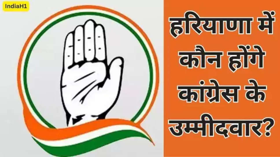 haryana , haryana congress , candidates list , congress candidates list , final congress candidates list , candidates list 2024 , shruti chaudhary , kumari selja , सिरसा, rohtak , bhiwani , lok sabha elections 2024 , congress cec meeting , CEC meeting today , congress meeting today , congress CEC meeting today , हिंदी न्यूज़ ,haryana politics , 