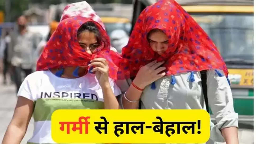 haryana , haryana news , haryana weather forecast today ,haryana weather report ,haryana weather update ,haryana weather news ,latest weather news , latest news in hindi ,हिंदी न्यूज़,मौसम खबर,मौसम की ताज़ा खबर, हरियाणा,मौसम की जानकारी, heat wave ,imd alert ,rain alert ,हरियाणा में बारिश कब होगी,मौसम विभाग,weather ,