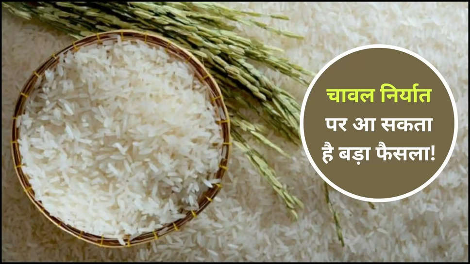 rice ,export ,ban ,niti ayog ,niti aayog ,central government ,government ,farmers ,kisan ,agriculture ,Rice export, Rice Ban, Niti Aayog Member, Rice, Government ,rice export ban ,rice export ban news ,rice export ban latest news ,rice ban latest updates ,niti aayog on rice export ,niti aayog on rice export ban ,हिंदी न्यूज़,