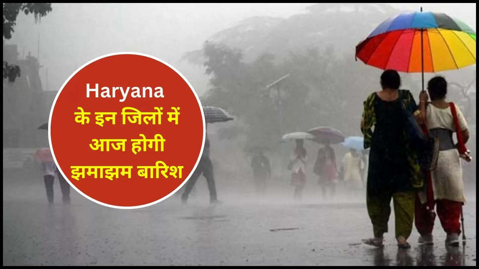 haryana ,rain ,imd alert ,weather ,forecast ,monsoon ,temperature ,ambala ,rohtak ,panipat ,faridabad ,sirsa ,mausam alert ,weather alert ,imd alert today ,rain prediction today ,kya aaj barish hogi ,barish kab hogi ,haryana News ,haryana rain ,rain In haryana ,today Haryana weather ,haryana weather today ,हिंदी न्यूज़,हरियाणा,हरियाणा खबर,haryana Monsoon update ,haryana Rain alert ,haryana weather forecast ,haryana weather update ,मौसम विभाग,मौसम खबर,मौसम समाचार,मौसम की जानकारी,haryana mausam update ,हरियाणा में बारिश,