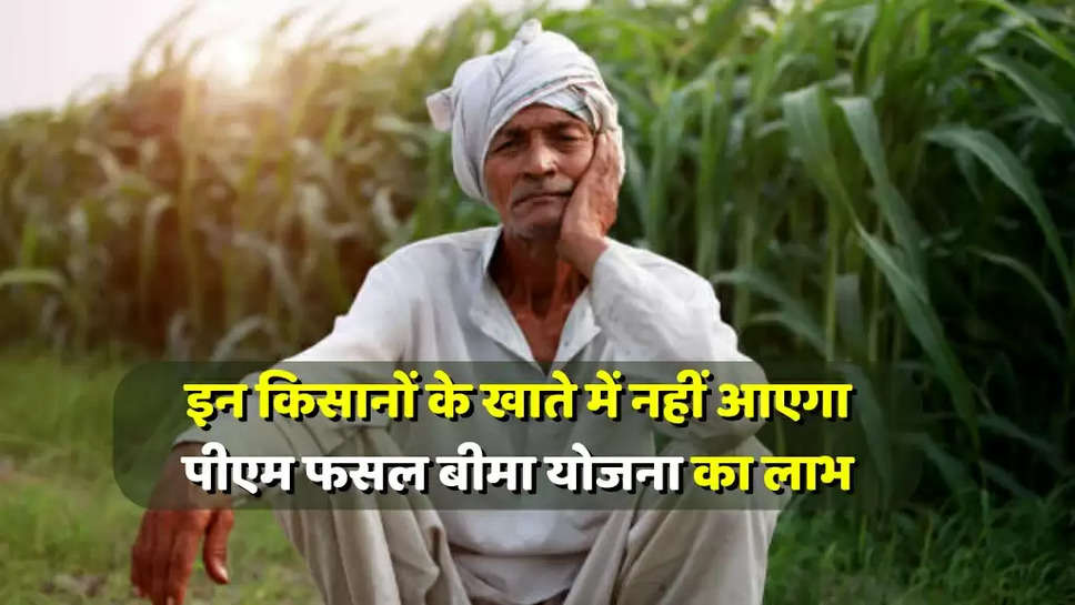 PM KIsan