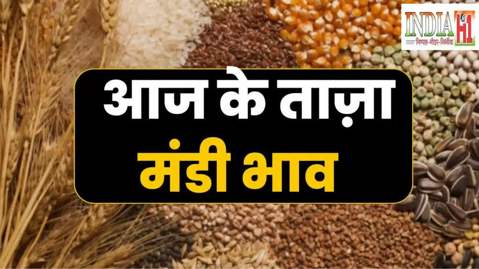 mandi bhav ,market price ,international market ,sarson ,oil ,edible oil ,mustard ,mustard oil ,price ,rate ,Mandi Price,  Mustard Oilseeds,  Groundnut,  aaj sarson tel ki kimat, mustard oil price today, today mustard oil price, Groundnut Oil,  Groundnut Solvent Refined Oil,  Mustard Oil Dadri,  Mustard Pak Ghani,  Mustard Raw Ghani,  Sesame Oil Mill Delivery,  Soyabean Oil Mill Delivery Delhi,  Soybean Mill Delivery Indore,  Soyabean Oil Degum,  CPO X -Kandla,  Cottonseed Mill Delivery,  Palmolein RBD,  Delhi,  Soyabean Grain,  Soyabean Loose, Business News In Hindi, Business News, मंडी भाव,  सरसों तिलहन,  मूंगफली,  मूंगफली तेल ,  मूंगफली साल्वेंट रिफाइंड तेल ,  सरसों तेल दादरी,  सरसों पक्की घानी,  सरसों कच्ची घानी,  तिल तेल मिल डिलिवरी,  सोयाबीन तेल मिल डिलिवरी दिल्ली,   सोयाबीन मिल डिलिवरी इंदौर,   सोयाबीन तेल डीगम,  सीपीओ एक्स-कांडला,  बिनौला मिल डिलिवरी , पामोलिन आरबीडी,  दिल्ली,  सोयाबीन दाना,  सोयाबीन लूज,