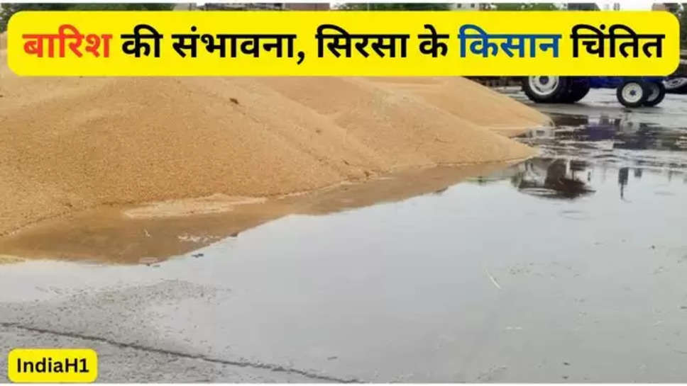 Haryana news, sirsa news, farmer, rain, crop , rain alert , haryana news , sirsa news , weather forecast , rain alert in sirsa ,