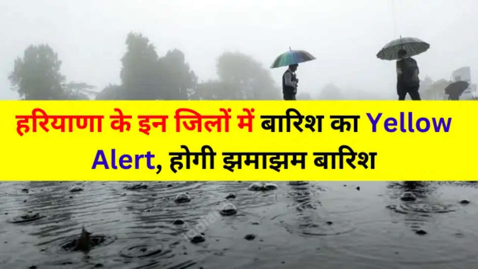 rain alert