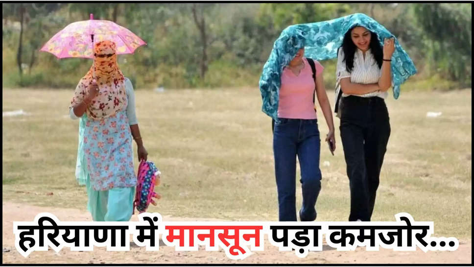 haryana ,weather ,monsoon ,update ,rain ,imd alert ,haryana News ,haryana breaking News ,haryana Latest news ,haryana weather News ,हरियाणा,हरियाणा खबर, haryana weather update ,haryana weather forecast ,haryana rain alert ,imd rain alert ,imd weather alert ,haryana Mausam update ,मौसम विभाग,मौसम खबर,मौसम समाचार, मौसम की जानकारी,हिंदी न्यूज़, kya aaj barish hogi ,barish kb hogi ,हरियाणा में बारिश कब होगी,haryana monsoon update ,today Haryana weather ,