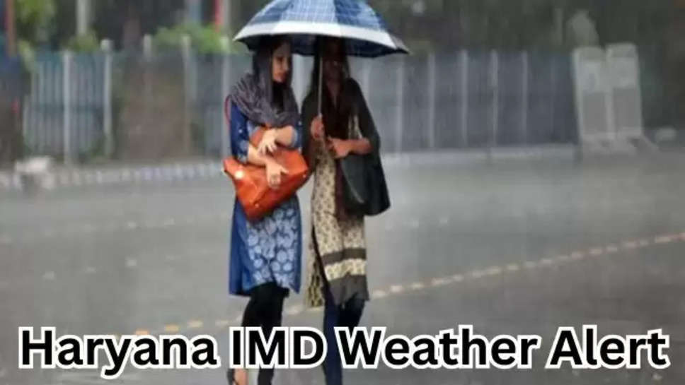 imd ,alert ,weather ,haryana ,rain ,weather update ,weather news ,weather report ,हिंदी न्यूज़,imd weather alert , imd rain alert ,haryana rain alert ,haryana weather update ,haryana weather news ,haryana weather forecast ,today haryana weather ,today haryana weather update ,आज हरियाणा का मौसम,हरियाणा में आज बारिश ,हरियाणा मौसम अपडेट ,हिंदी न्यूज़, मौसम विभाग, मौसम खबर, मौसम समाचार, मौसम की ताज़ा जानकारी , latest weather updates in hindi ,