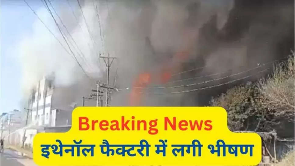 haryana , haryana news , ambala , ambala news ,fire in ethanol factory , ambala ethanol factory , fire , breaking news , haryana breaking News , hindi news ,  इथेनॉल फैक्ट्री में आग , 