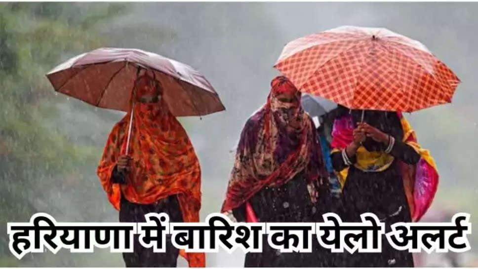 haryana , haryana news , weather News , haryana weather , haryana weather today , haryana weather news , मौसम विभाग , IMD Alert , IMD Rain alert ,hailstorm , हरियाणा में येलो अलर्ट , हरियाणा , मौसम की जानकारी , मौसम की खबर , मौसम खबर ,मौसम समाचार ,  haryana weather forecast , sirsa , karnal , sonipat ,panipat , kurukshetra , chandigarh , chandigarh weather News , todays weather , weather today ,