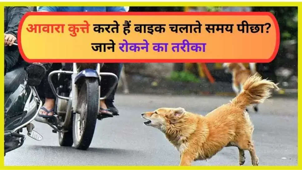 dogs ,attack ,bike ,driving ,stray dogs ,hindi News, Stray Dogs Attack, Trending, Trending News, Viral, Viral News, hindi News Latest, hindi Trending News ,trending news today , today trending news ,trending news in hindi ,today viral news <viral news today , हिंदी न्यूज़,