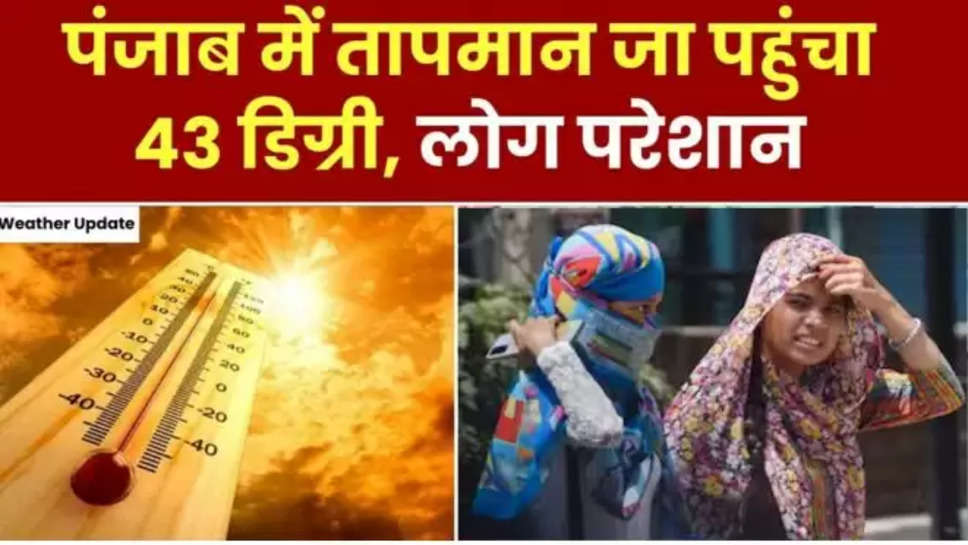 punjab ,rain ,weather ,alert ,imd ,heat wave ,punjab news ,punjab weather update ,punjab weather forecast ,punjab weather news ,punjab weather news today ,chandigarh ,हिंदी न्यूज़, heat wave alert ,punjab breaking news ,rain in punjab ,punjab latest news ,पंजाब में बारिश कब होगी,weather forecast today ,मौसम खबर, मौसम विभाग, मौसम की जानकारी,