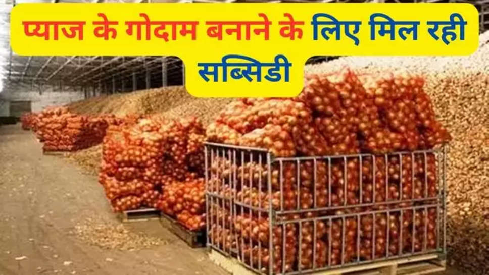 Bihar government is giving subsidy, Bihar government subsidy, government schemes, onion warehouse, bihar news, bihar agriculture news, बिहार सरकार दे रही है सब्सिडी, सरकारी स्किम, प्याज गोदाम, बिहार की खबर, बिहार कृषि न्यूज , kisan News , हिंदी न्यूज़ , onion warehouse subsidy ,