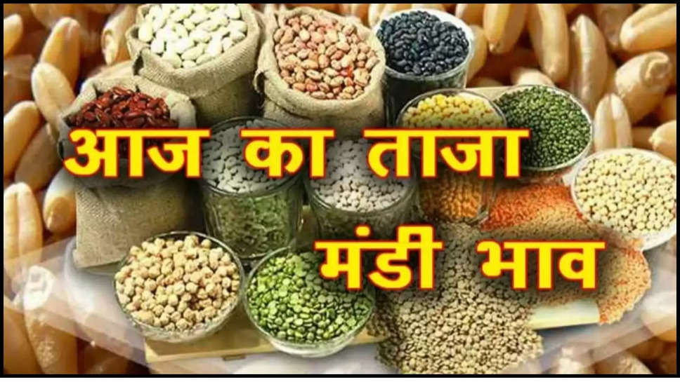 rajasthan ,mandi bhav ,jeera ,mustard ,sarson ,wheat ,genhu ,bajra ,onion ,aaj ka mandi bhav ,friday ,19 july 2024 , bikaner mandi ,kota mandi ,gram ,bikaner mandi bhav ,kota mandi bhav ,rajasthan mandi bhav ,aaj ka mandi bhav ,aaj ka mandi bhav rajasthan ,rajasthan mandi bhav 18 july ,rajasthan mandi bhav 19 july ,19 जुलाई का मंडी भाव,mustard price today ,आज सरसों का भाव ,सरसों का आज भाव, राजस्थान मंडी में आज सरसों का भाव, गेंहू का आज भाव, बाजरा का आज मंडी भाव, कोटा मंडी में जीरा का भाव, बीकानेर मंडी मंडी में आज मोठ का भाव, rajasthan news ,farmers ,agriculture ,हिंदी न्यूज़,