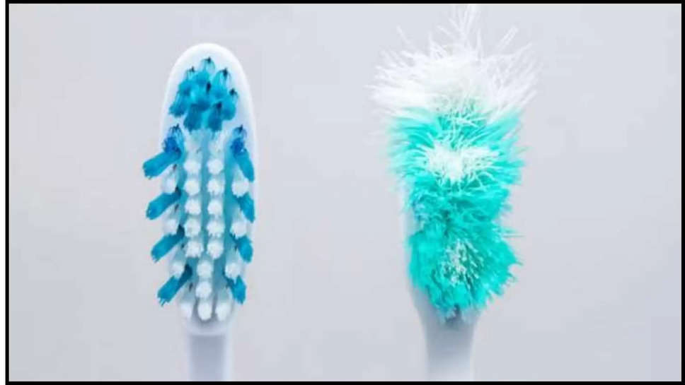 toothbrush ,expiry date ,uses ,health care ,health tips ,Toothbrush, Toothbrush Health, Health, Lifestyle,  Expiry date of toothbrush, What is the expiry date of a toothbrush?, How long do toothbrushes last?,  Can I use the same toothbrush for 2 years?, Toothbrush Expiry date, Hindi News, News in Hindi, Latest Hindi News ,क्या टूथब्रश की भी होती है एक्सपायरी डेट? जानें कितने दिनों तक कर सकते हैं इस्तेमाल!