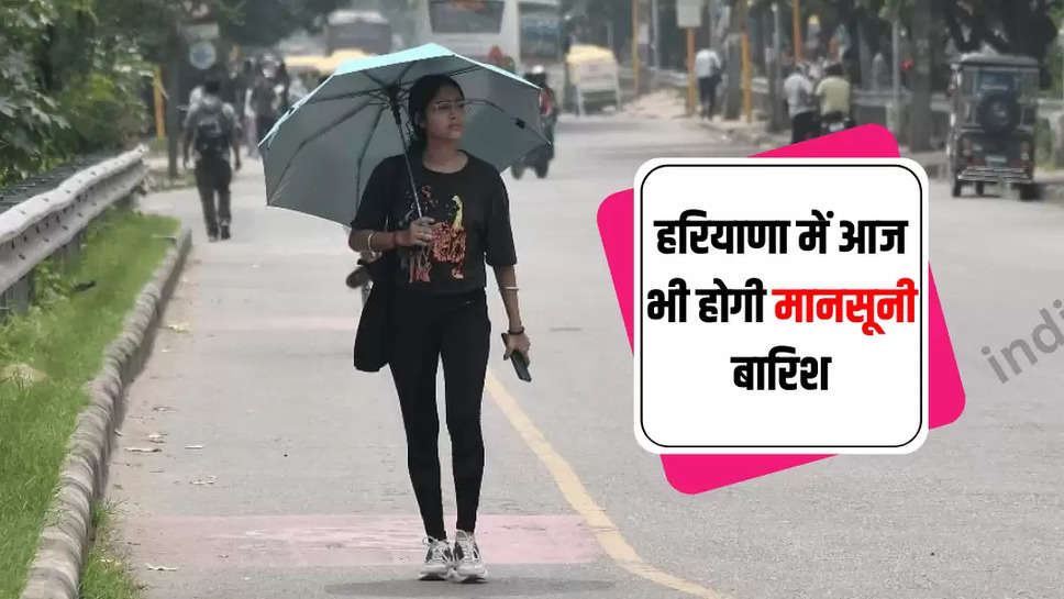 haryana weather update 