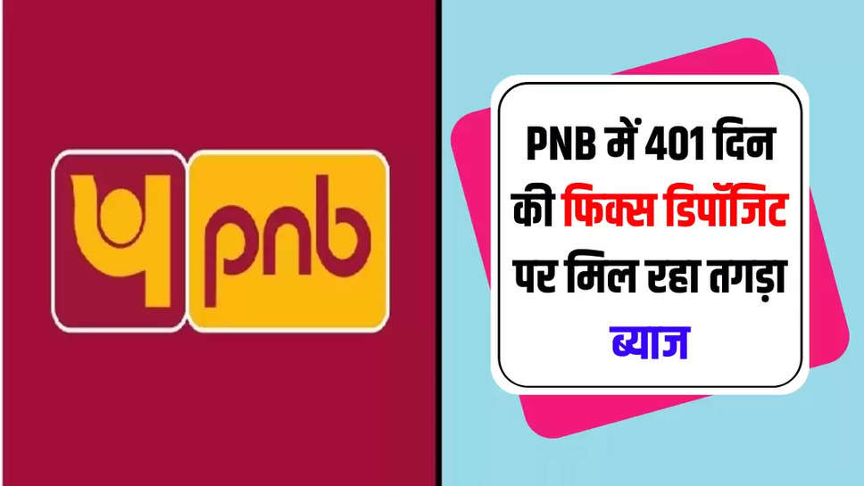 pnb bank 