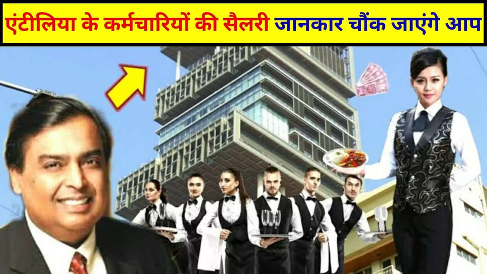 mukesh ambani ,salary ,servants ,Mukesh Ambani News ,mukesh ambani facts ,mukesh ambani latest news,Mukesh Ambani Chef Salary,Mukesh Ambani Food,Mukesh Ambani Dinner ,mukesh ambani driver ,mukesh ambani body guards ,Mukesh Ambani servant salary,antillia ,antillia facts ,nita ambani ,ambani family ,reliance ,jio ,हिंदी न्यूज़,