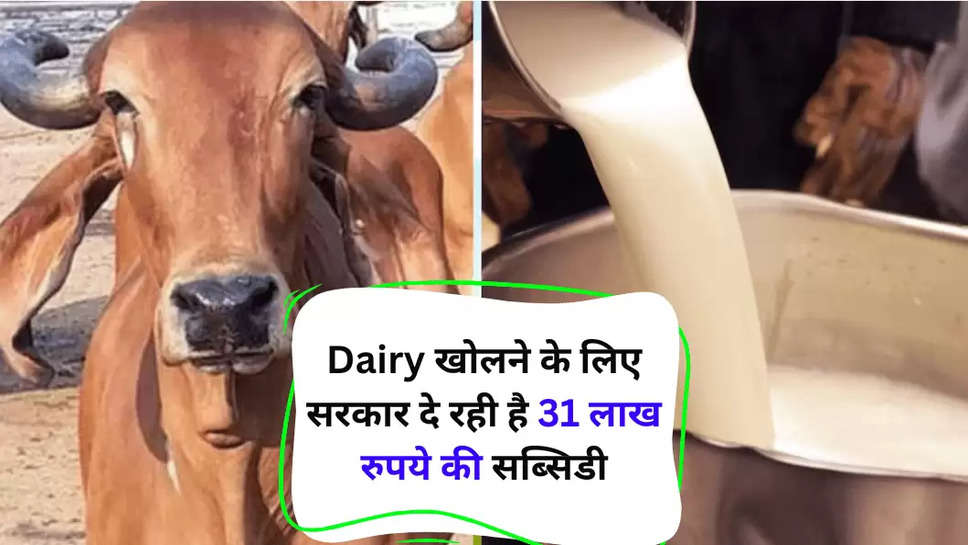 Dairy खोलने के लिए सरकार दे रही है 31 लाख रुपये की सब्सिडी