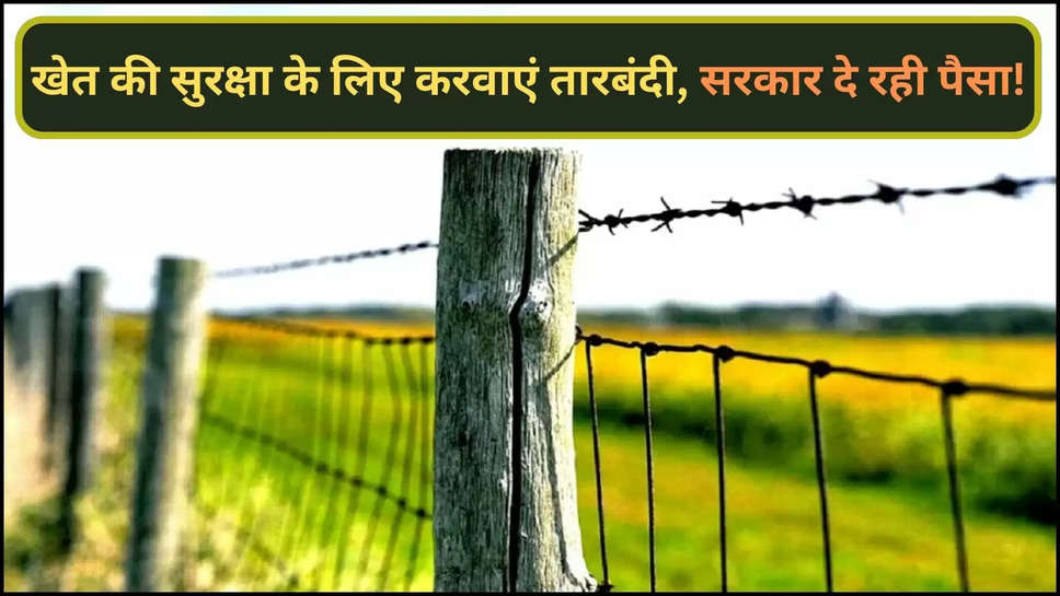 agriculture news, farming news, Fencing, Rajasthan Farmers, Rajasthan Government, stray animals, tarbandi yojana, rajasthan government tarbandi yojana, crops, तारबंदी योजना ,राजस्थान सरकार, राजस्थान सरकार की योजना,हिंदी न्यूज़,