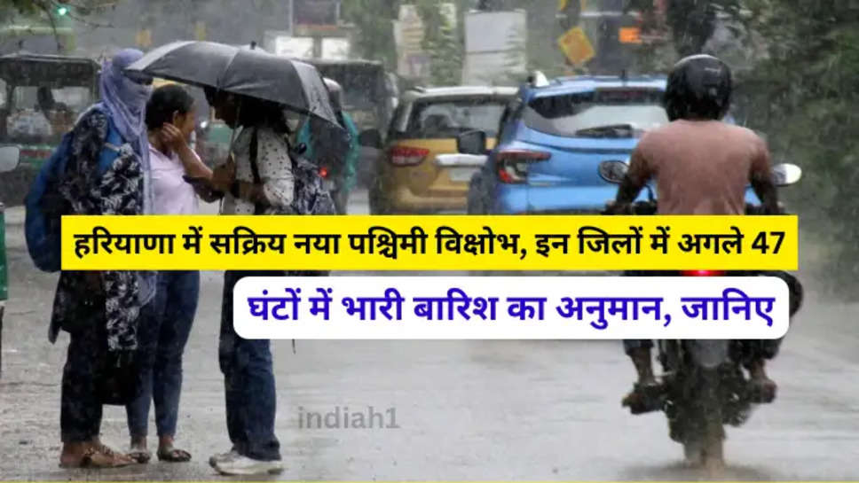 haryana weather news