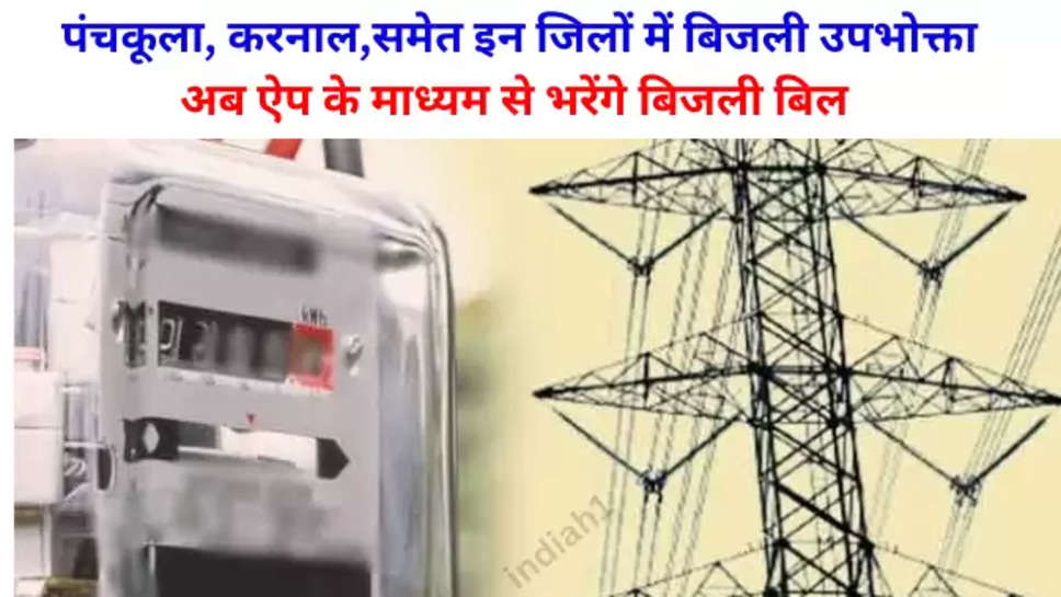 haryana electrycity news
