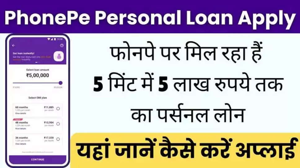 Phone Pay Loan