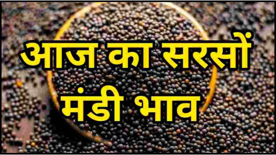 sarson ,mustard ,mandi rates ,mandi bhav ,aaj ka mandi bhav ,sunday ,18 August 2024 , today mandi rates ,today mandi price ,sarson ka mandi bhav ,haryana ,rajasthan ,aaj ka bhav ,sirsa ,adampur mandi ,delhi ,jodhpur ,kota ,alwar ,aaj ka mandi bhav 18 august 2024 ,17 august ka mandi bhav ,aaj sarson ka bhav ,आज सरसों का मंडी भाव,सरसों का तेल,सरसों तेल का मंडी भाव,आज सरसों तेल का भाव,mustard oil rate today ,today mustard oil rate ,mustard mandi rate today ,today mustard rate ,haryana mandi bhav ,rajasthan mandi bhav ,हरियाणा-राजस्थान की मंडियों में आज सरसों का भाव 