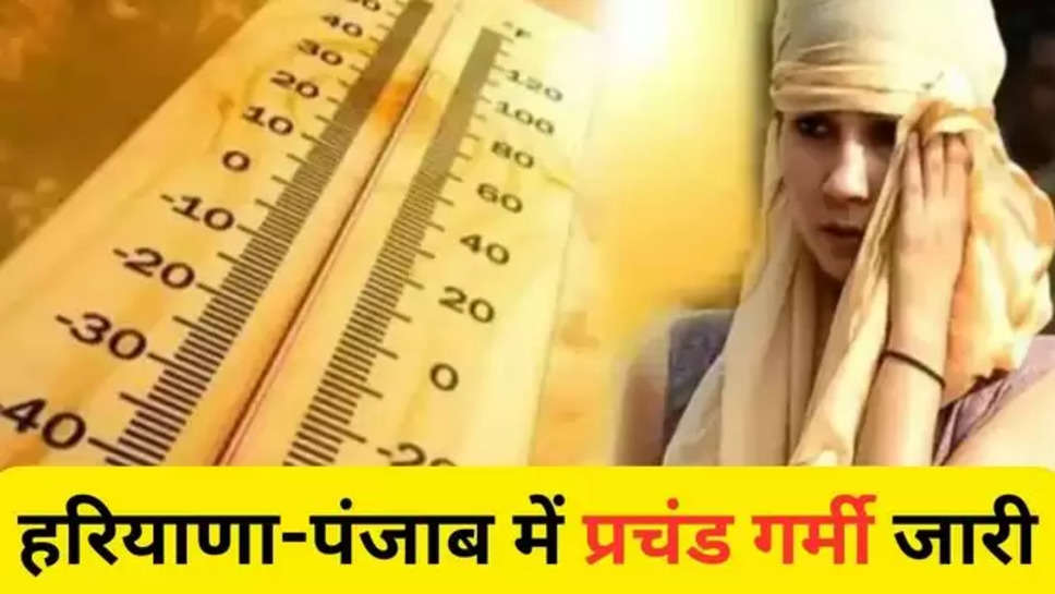 haryana ,punjab ,rajasthan ,delhi ,weather ,summer ,heat wave ,IMD ,haryana News ,punjab News ,rajasthan weather today ,haryana weather today ,punjab weather today ,delhi weather today , weather forecast today ,weather report today ,heat wave alert today , bihar weather today , मौसम विभाग, मौसम खबर, मौसम की ताज़ा खबरें, mausam update ,बारिश कब होगी, हरियाणा में आज मौसम, मौसम का हाल ,मौसम का पूर्वानुमान,