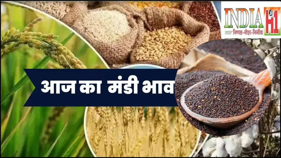 mandi bhav ,haryana ,sirsa ,cotton ,mustard ,price ,rate ,anaj mandi ,6 july 2024 ,saturday ,aaj ka mandi bhav 6 july ,6 जुलाई का मंडी भाव, आज का ताज़ा मंडी भाव, आज सरसों की कीमत, आज कपास का भाव, सरसों का आज भाव, सरसों का आज मंडी भाव, मूंग का आज भाव, आज कपास का भाव, sirsa anaj mandi ,सिरसा अनाज मंडी ,हरियाणा ,हरियाणा खबर, haryana news ,haryana mandi bhav ,sirsa mandi bhav ,