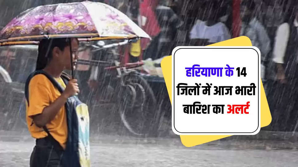 Haryana Rain Alert