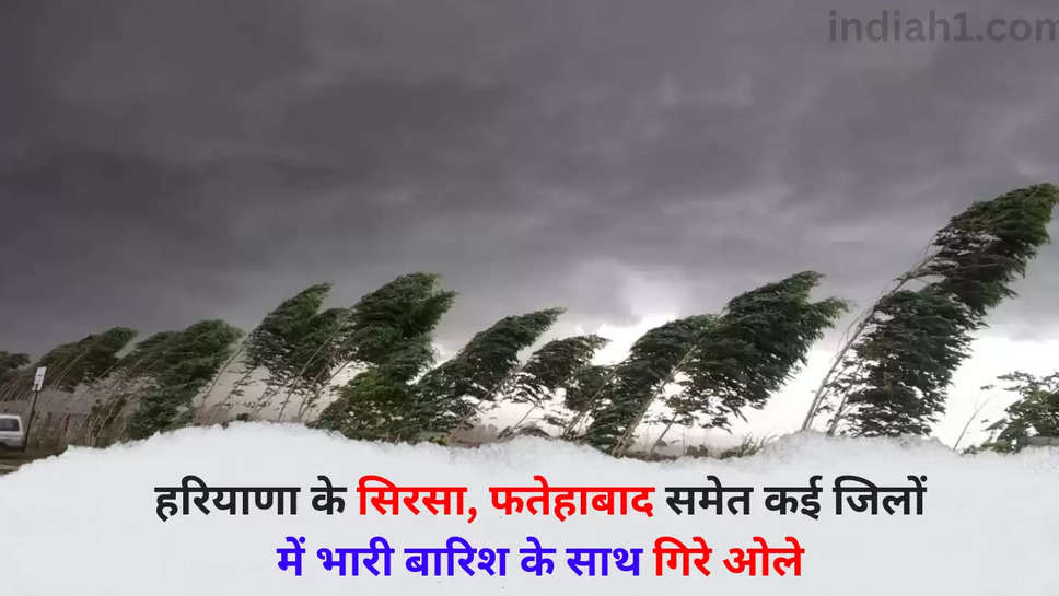 haryana weather 