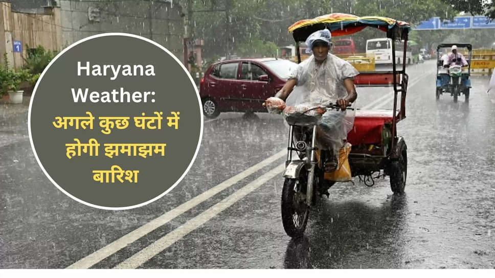 haryana ,weather ,rain ,monsoon ,imd alert ,haryana weather forecast ,haryana weather update ,haryana rain alert ,imd rain alert ,haryana mausam ,IMD Rain Alert ,हिंदी न्यूज़,